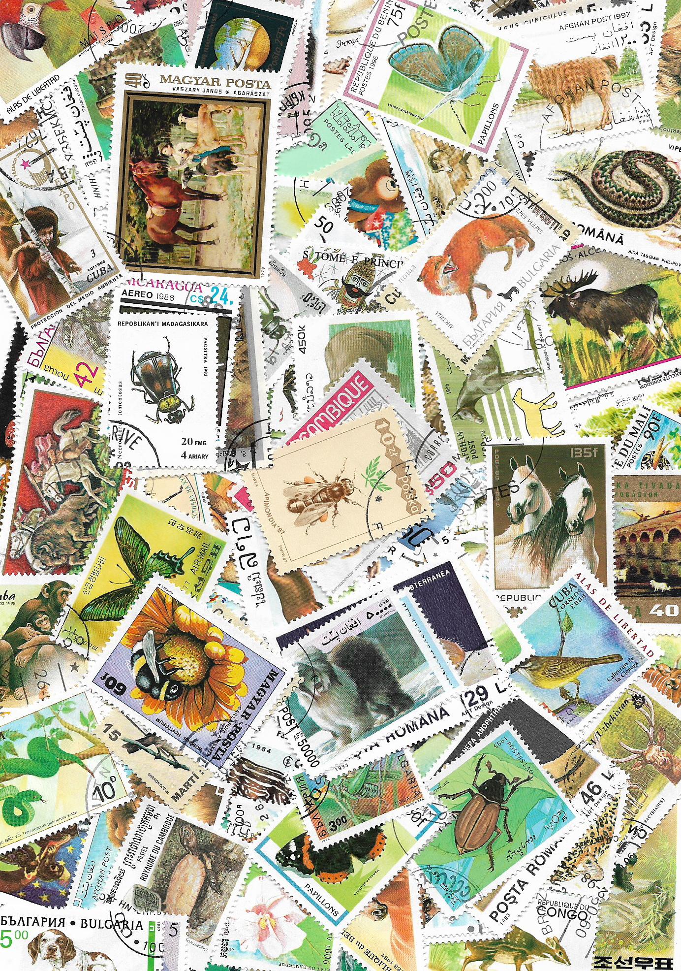 Zvířata 50 různých poštovních známek