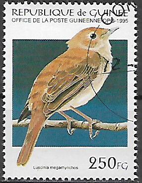 Guinea u Mi  1528