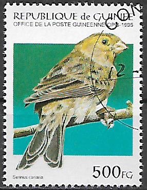 Guinea u Mi  1529