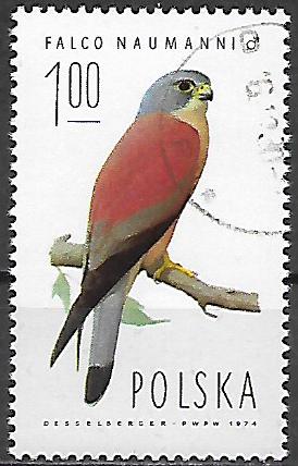 Polsko u Mi 2354