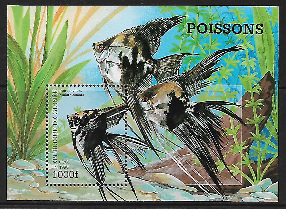 Guinea N Mi Bl 0534