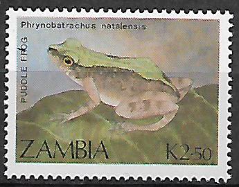 Zambie N Mi  0471