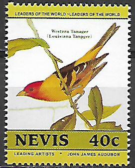 Nevis N Mi  0271