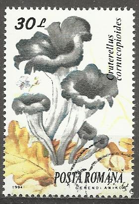 Rumunsko u Mi 5005