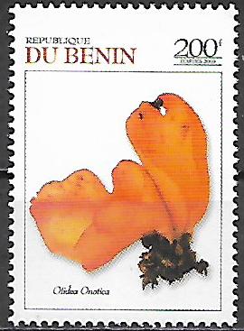Benin N WNS BJ 032.03