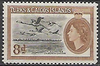 Turks a Caicos N Mi  0162