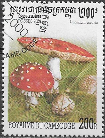 Kambodža u Mi 2061