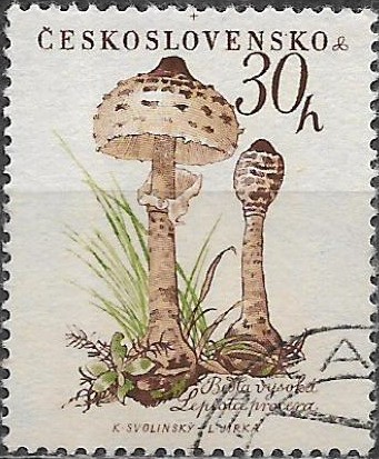 Československo u Mi 1101