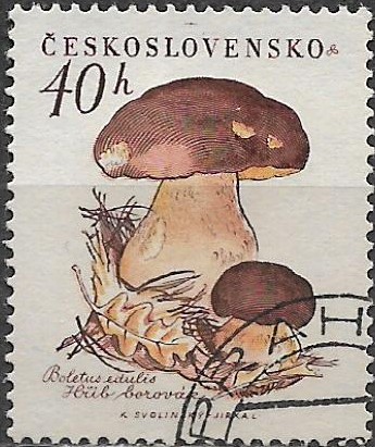 Československo u Mi 1102