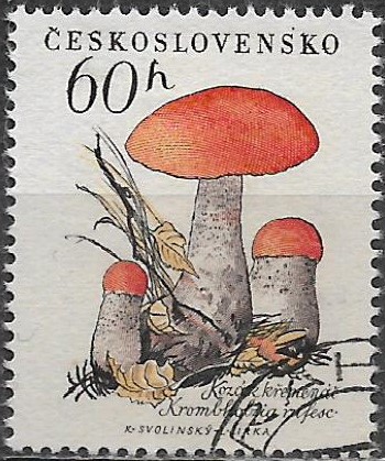 Československo u Mi 1103