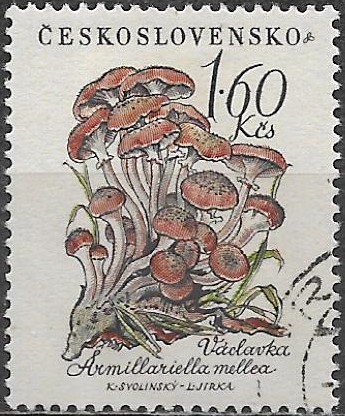 Československo u Mi 1105