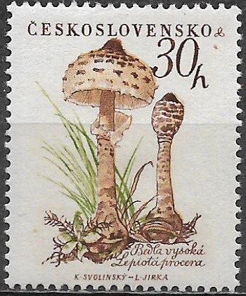Československo N Mi 1101