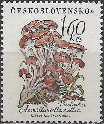 Československo N Mi 1105
