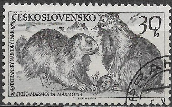 Československo u Mi 1153