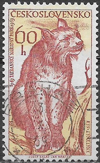 Československo u Mi 1155