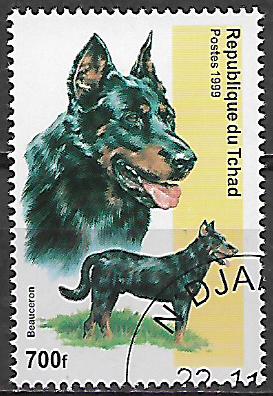 Čad u Yv 1175