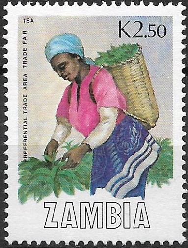 Zambie N Mi  0454