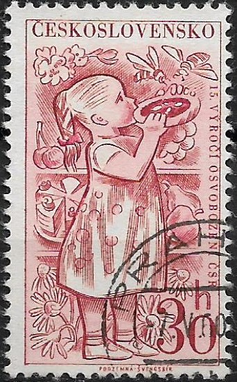 Československo u Mi 1196