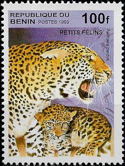 Benin N Mi 0707