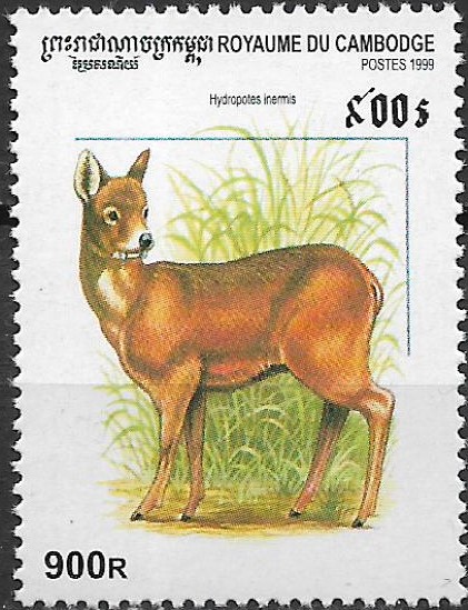 Kambodža N Mi 2007
