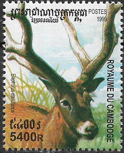 Kambodža N Mi 2011