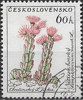 Československo u Mi 1237