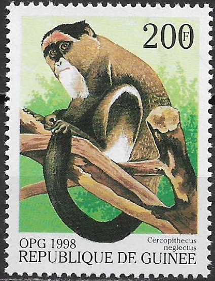 Guinea N Mi  1952