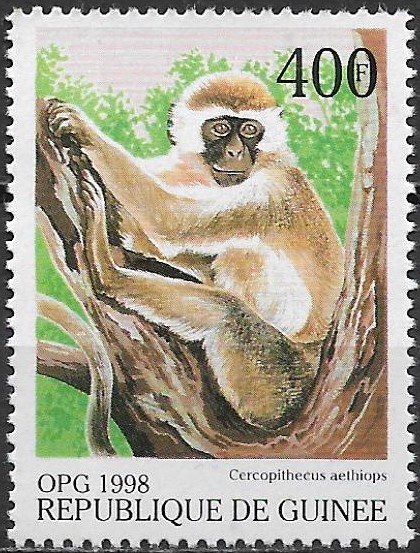 Guinea N Mi  1955