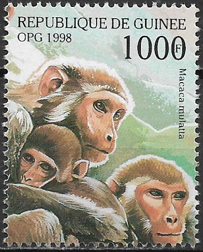 Guinea N Mi  1958