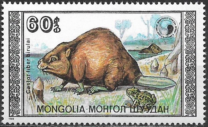 Mongolsko N Mi  2021