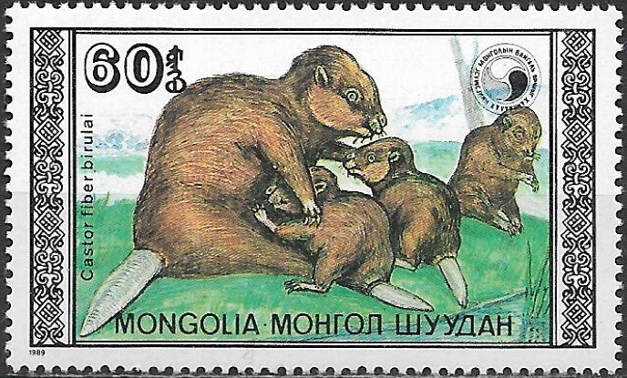 Mongolsko N Mi  2024
