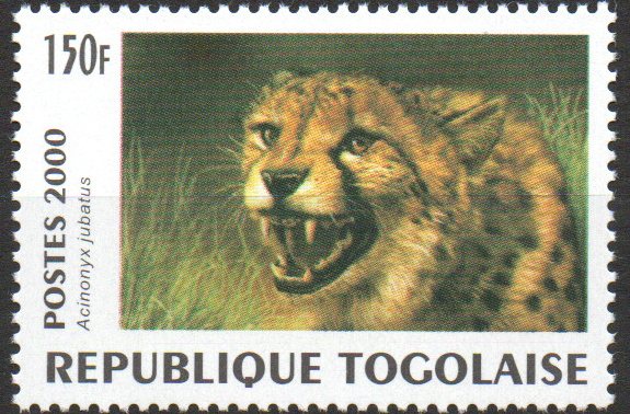 Togo N Mi  2992