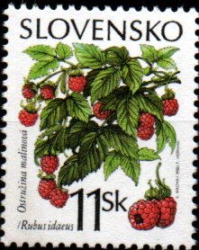 Slovensko N Mi 0375