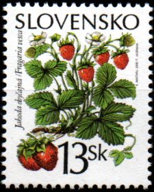 Slovensko N Mi 0376
