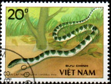 Vietnam u Mi 2032