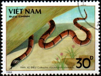 Vietnam u Mi 2033