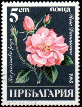 Bulharsko u Mi 3373