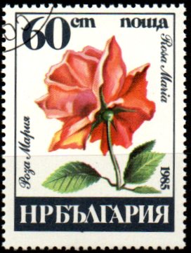 Bulharsko u Mi 3378