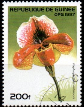 Guinea u Mi  1624