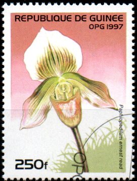 Guinea u Mi  1625