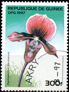 Guinea u Mi  1626