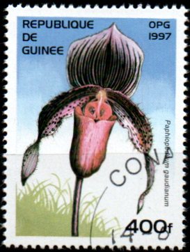 Guinea u Mi  1627