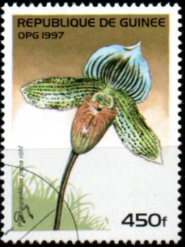 Guinea u Mi  1628