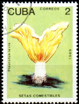 Kuba u Mi  3257