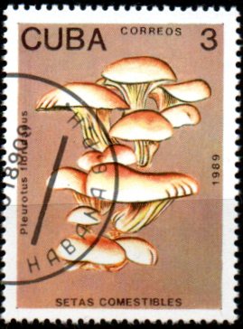 Kuba u Mi  3258