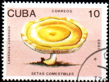Kuba u Mi  3260