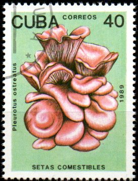 Kuba u Mi  3261