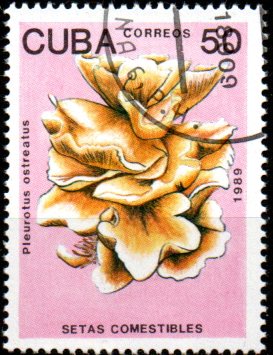 Kuba u Mi  3262