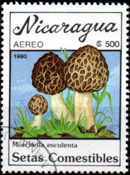 Nikaragua u Mi  3001