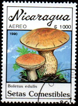 Nikaragua u Mi  3002